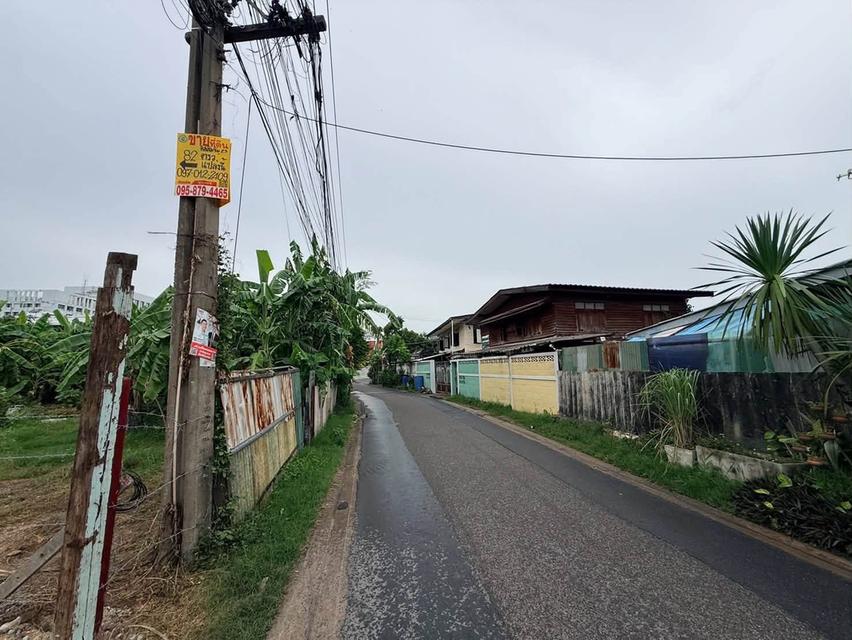 ขายด่วนที่ดินใกล้รร.อัสสัมชัญธนบุรี 82 ตรว ติดถนนคอนกรีต ถมแล้ว ซ.อัสสัมชัญ 23 ภาษีเจริญ กทม. รูปย่อยที่ 5