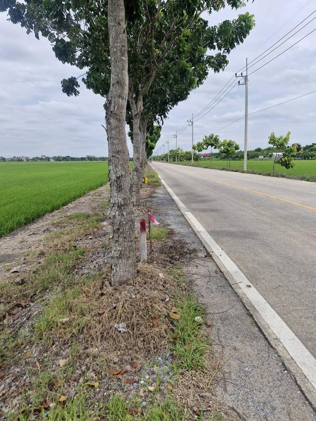 ขายที่ดิน 15 ไร่ ลำลูกกา ปทุมธานี 5