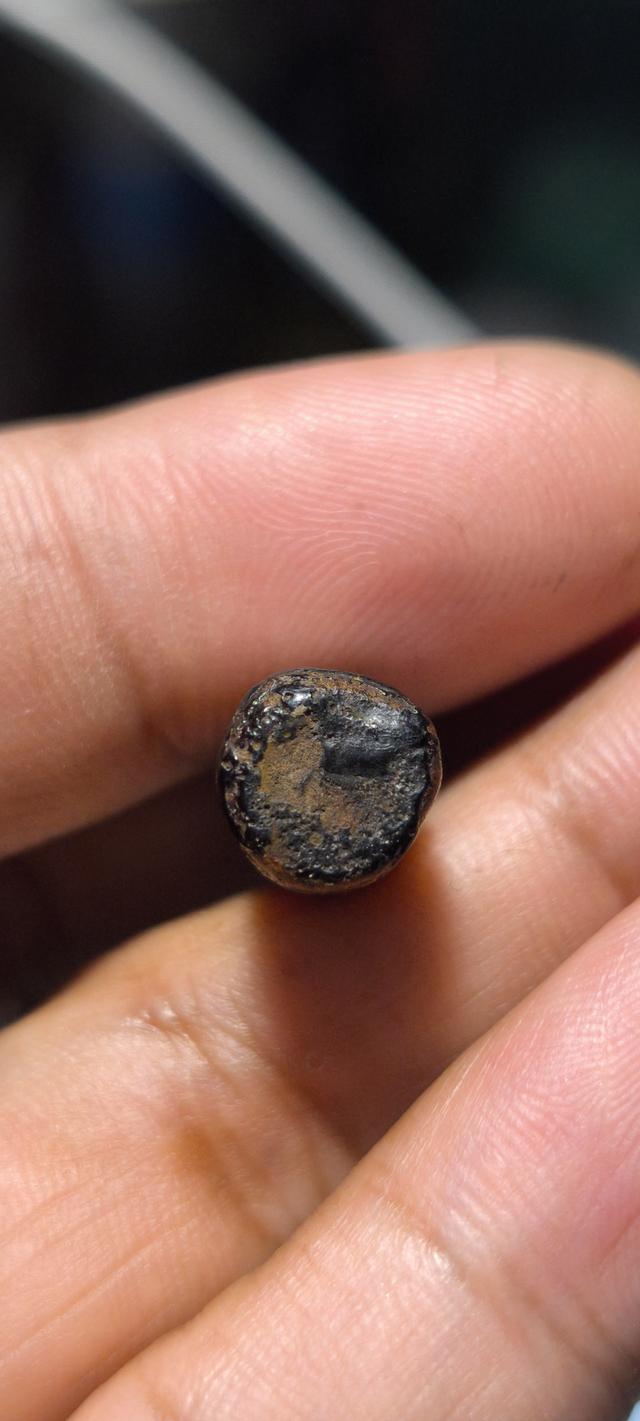 ลิงแกะลงรักเก่า ไม่ทราบที่ 5