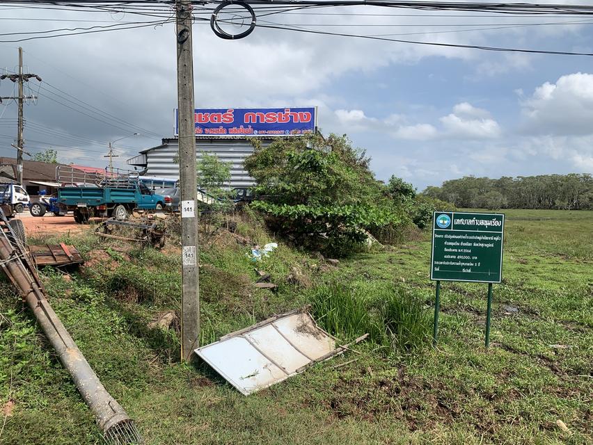 ขายที่ดินว่างเปล่าติดถนนใหญ่สายไชยา-พุมเรียง ใกล้ รร.พุทธนิคม 3