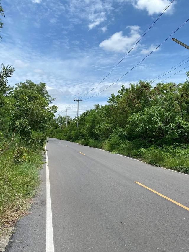 ที่ดิน 9