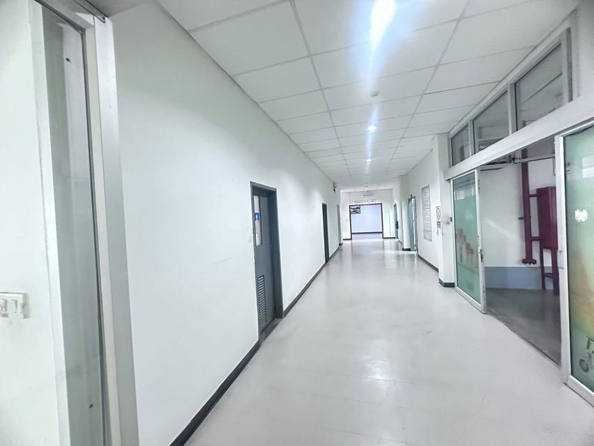 ขายโรงงานอุตสหกรรม ขายโรงงานอุตสหกรรม โรงงานผลิต/โกดังสินค้า พื้นที่สีม่วง ที่ตั้ง: นำไกร, ลาดกระบัง 16