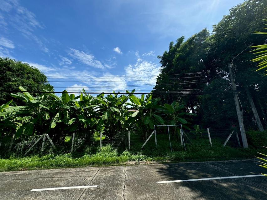 ที่ดินหมู่บ้านสวัสดิการทหารรามอินทรา 61 1