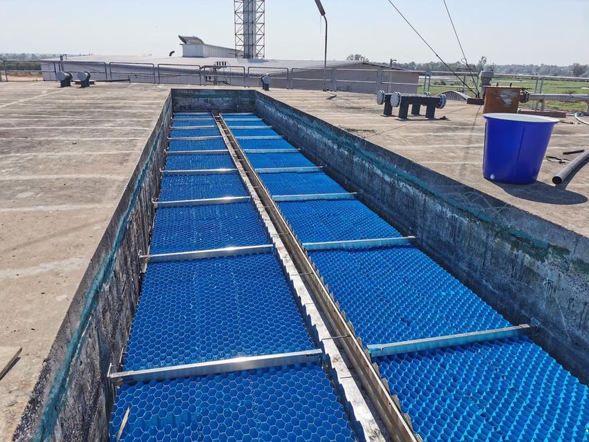 ขาย แผ่นช่วยตกตะกอนแบบ tube settler 086-3771698 เราเป็นโรงงานผู้ผลิต มาตรฐาน ISO วัสดุใหม่ อายุการใช้งานมากกว่า 10 ปี