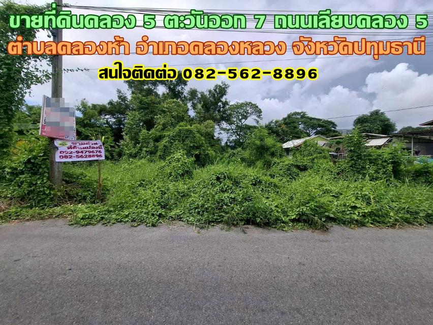 ขายที่ดินคลอง 5 ตะวันออก 7 ถนนเลียบคลอง 5 คลองหลวง ปทุมธานี