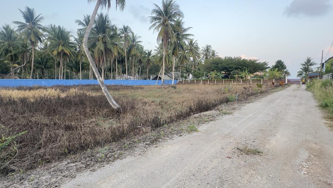 🔥🌊 ขายด่วน! ที่ดินทำเลทอง 1 ไร่ 3 งาน ติดถนนดำ-ใกล้ทะเลแค่เอื้อม! 🔥 7