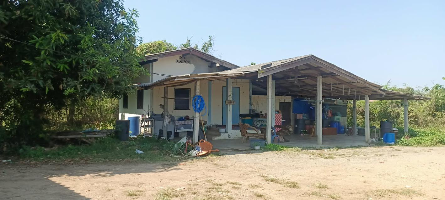 บ้านพร้อมที่ดินจังหวัดลำพูน 1