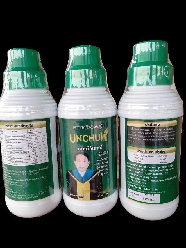 อาหารเสริมพืชอะมิโน อัณณ์จันทณ์ UNCHUN รูปที่ 6