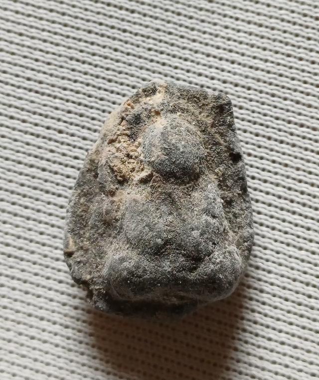 พระปิดตาผงครูฝึกหลวงพ่อชาญณรงค์