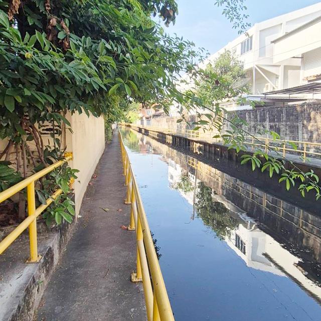 ขายถูก บ้านเดี่ยว44ตรว. ม.โชคชัย ซ.ลาดพร้าว96 ขายตามสภาพ เหมาะซื้อไปรีโนเวท 14