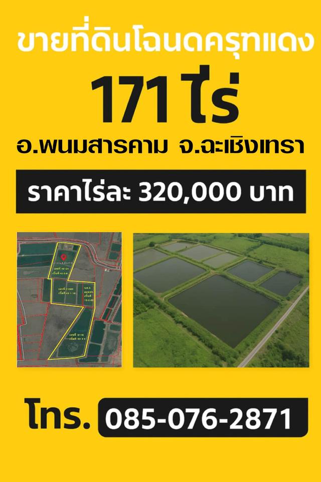 ขายที่ดินบ่อปลา171ไร่ หนองยาว พนมสารคาม ฉะเชิงเทรา 1