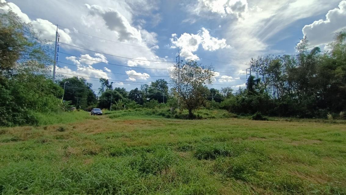 ที่ดินริมถนนอดิเรกสาร อ.แก่งคอย จ.สระบุรี 26.5 ไร่ เจ้าของขายเองแบบลดราคาถูกที่สุด 4