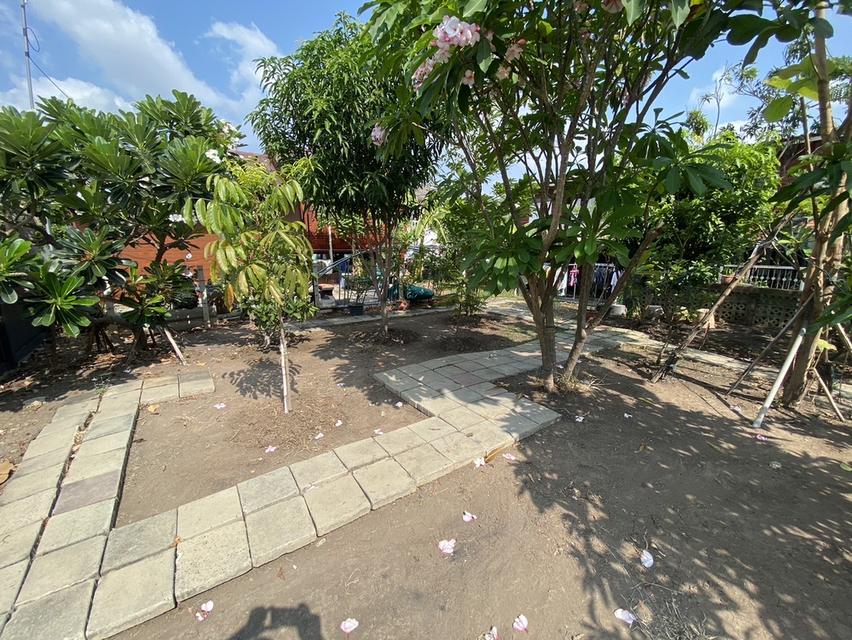 ที่ดิน 2งาน 55ไร่ บางซ่อนใกล้สิ่งอำนวยความสะดวก 5