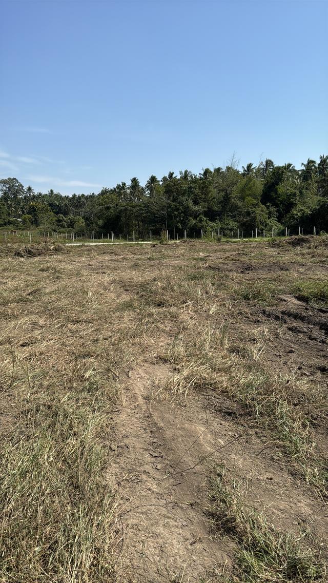 ให้เช่าที่ดินเปล่า ทำโกดังเก็บสินค้า 6