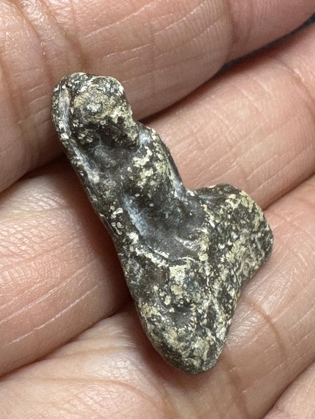 องค์ละ 900 🙏พระกรุ🙏พระซุ้มกอเนื้อชิน🙏พระร่วงนั่งสนิมแดง🙏พระนางพญา🙏พระคง รูปที่ 17