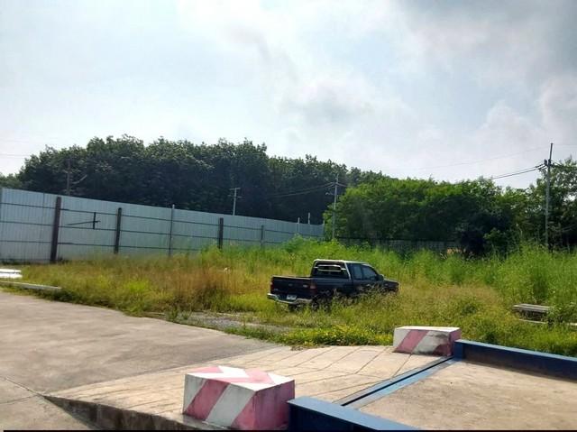 ขายโรงงานเกาะจันทร์ชลบุรี ขายที่ดินพร้อมโรงงาน/โกดังขนาดใหญ่ 19.8 ไร่ ในจังหวัดชลบุรี พื้นที่สีส้ม ท่าบุญมี เกาะจันทร์ชล 5