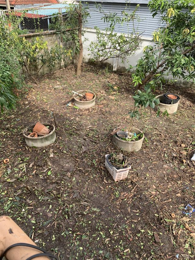 ทีดินเปล่า เนื้อที่ 60 ตารางวา ซอยวิภาวดีรังสิต39 ถนนวิภาวดีรังสิต 4