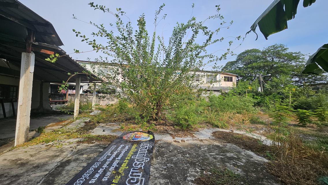 ขายที่ดินรามอินทราซ.21 9