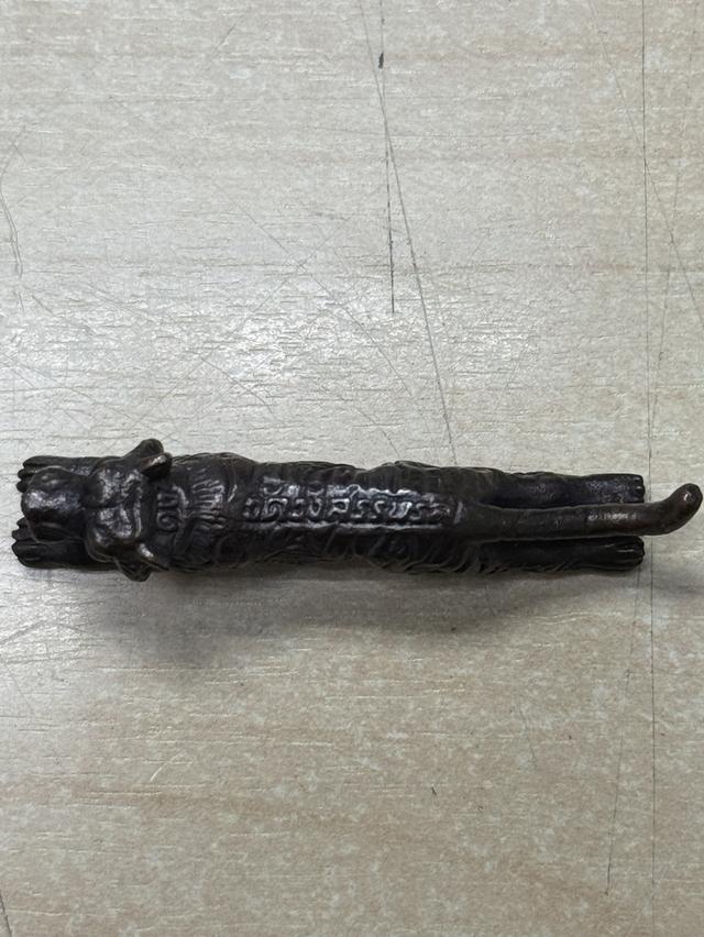 เสือหลวงพ่อคง เสาร์ห้า 3