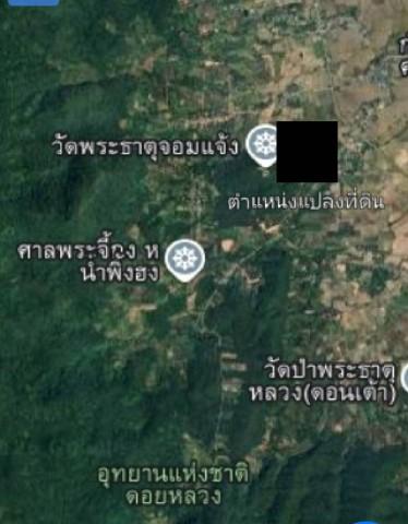 ขายที่ดินสวยทำเลทอง อำเภอพาน เชียงราย เหมาะสร้างบ้านพักผ่อน 7