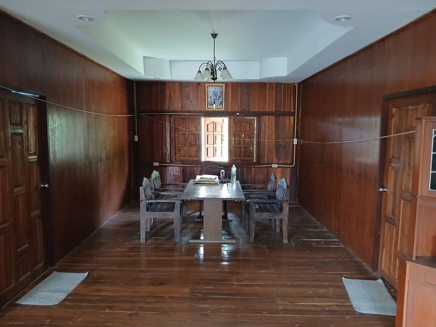 ขายที่ดินพร้อมบ้านและสวนลำไย 14 ไร่ ทำเลดีมาก อ.เมือง จ.ลำพุน 13