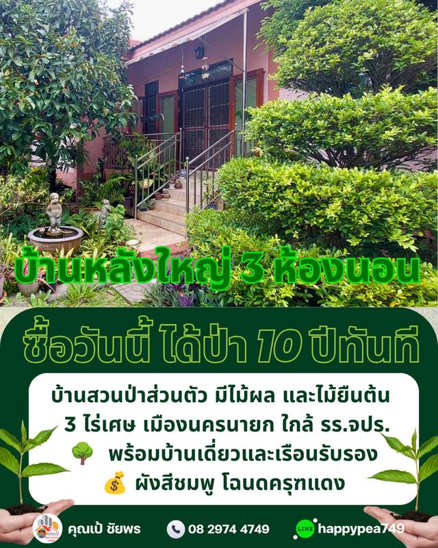 🌳 ที่ดินเมืองนครนายก พรหมณี 3 ไร่เศษ พร้อมบ้านสวนป่าส่วนตัวผังสีชมพู ใกล้ รร.จปร. 12