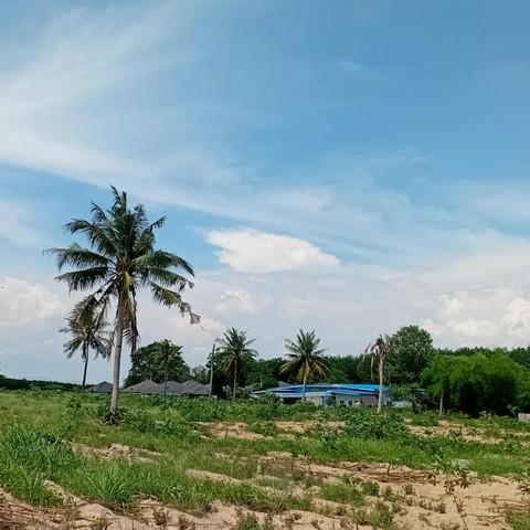 ขายที่ดินนิคมพัฒนาระยอง 6 ไร่ ที่ดินแปลงสวยๆทำเลทอง ที่ติดถนน เหมาะ โกดัง ที่พักอาศัย อพาร์ทเม้นท์