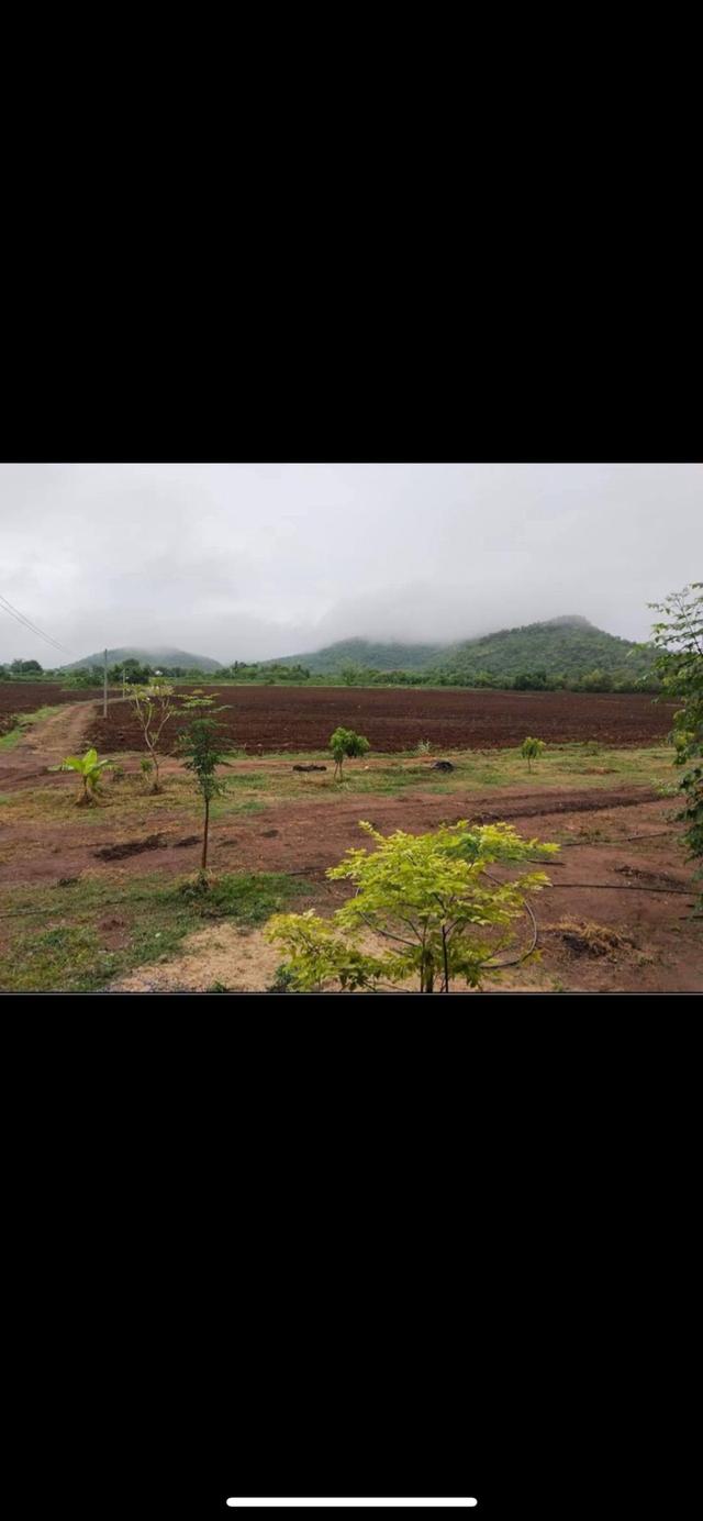 ขายด่วนบ้านพร้อมที่ดิน 1