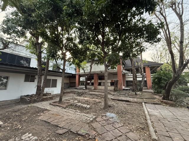 ให้เช่าบ้านเดี่ยว 2 ชั้น 200 ตรว. ซอยลาดพร้าว 128 ใกล้ MRT สถานีลาดพร้าว 101 เหมาะอยู่อาศัยหรือทำธุรกิจ 2