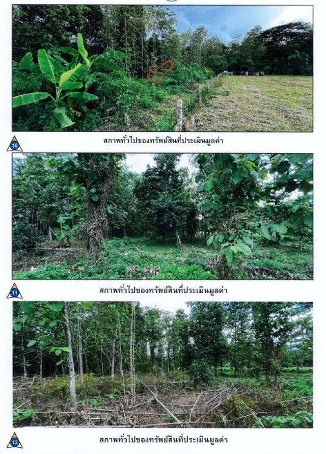 ขายที่ดินเชียงราย ติดถนนแม่ฟ้าหลวง ใกล้แม่น้ำกก ติดศาลากลางจังหวัด 6-2-13.3 ไร่