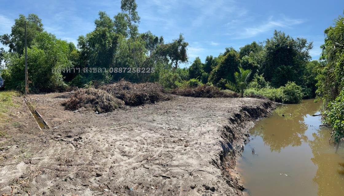 ที่ดิน 100 ตารางวา หลังติดคลองธรรมชาติ 1