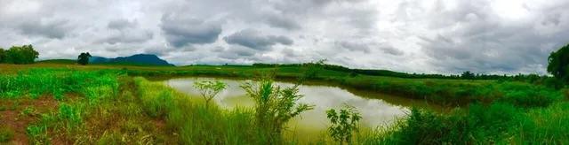 ขายที่ดิน ราคาพิเศษ จังหวัดเชียงราย 2