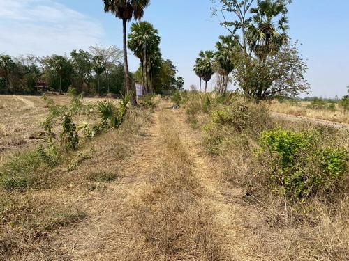 ขายที่ดิน 3 งาน 78.0 ตรว. ต.ขามทะเลสอ อ.ขามทะเลสอ จ.นครราชสีมา 16