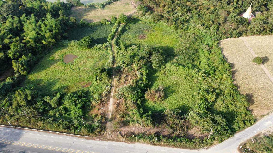 ที่ดินเปล่า ติดแม่น้ำโขง  ทำเลดี รูปแปลงสี่เหลี่ยม โซนสีเขียว ติดถนน ห่างชุมชน เหมาะสำหรับทำธุรกิจ 2