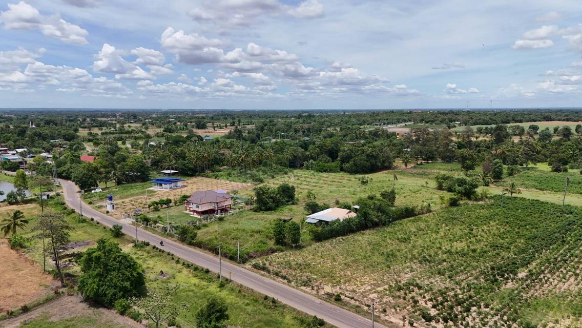 ที่ดินหลุดจอง.ทำเลดี ใกล้.เขื่อนลำพระเพลิง. 5 ไร่. เพียง2.5 ล้านบาท (จากเดิม 4 ล้านบาท ) | ( 1,250 บ./ตร.ว ) อ.#ปักธงชัย จ.นครราชสีมา 4