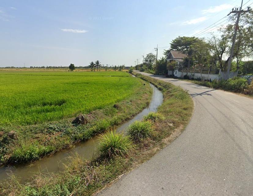ขายที่ดินบางขวัญแปดริ้ว 22 ไร่ ซอยบางขวัญ18/1 ใกล้ถนนวงแหวนเลี่ยงเมือง365-2กม. เมืองฉะเชิงเทรา 7