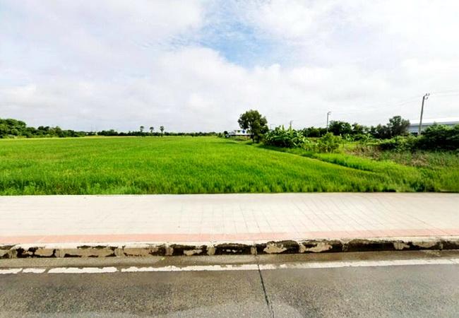 ขายที่ดิน ติดถนนไมตรีจิต แขวงสามวาตะวันออก เขตคลองสามวา กรุงเทพมหานคร 4