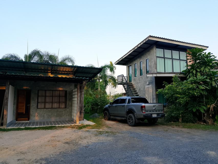 บ้านพร้อมที่ดินขนาด1ไร่ 37ตรว บ้าน4ก้องนอน4ห้องน้ำ พื้นทีจอดรถได้หลายคัน พร้อมทั้งสวนผลไม้ 6