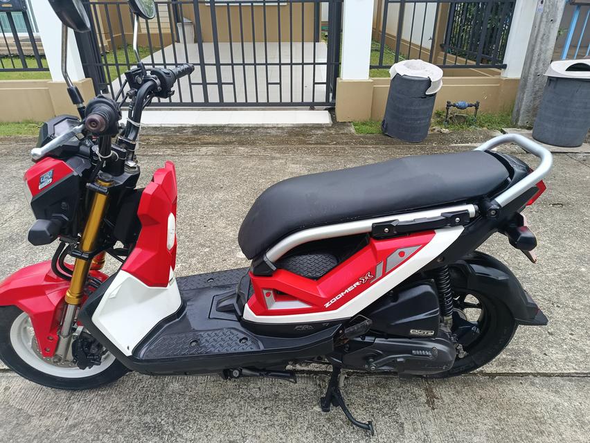 Zoomer -x  18