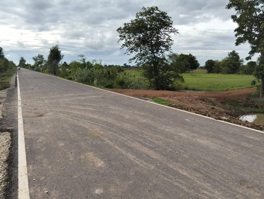 ขายที่ดิน 3 แปลง จังหวัดชัยนาท 1