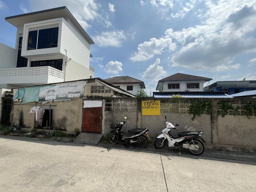 ขายที่ดินแปลงสวย 40 ตรว. 1