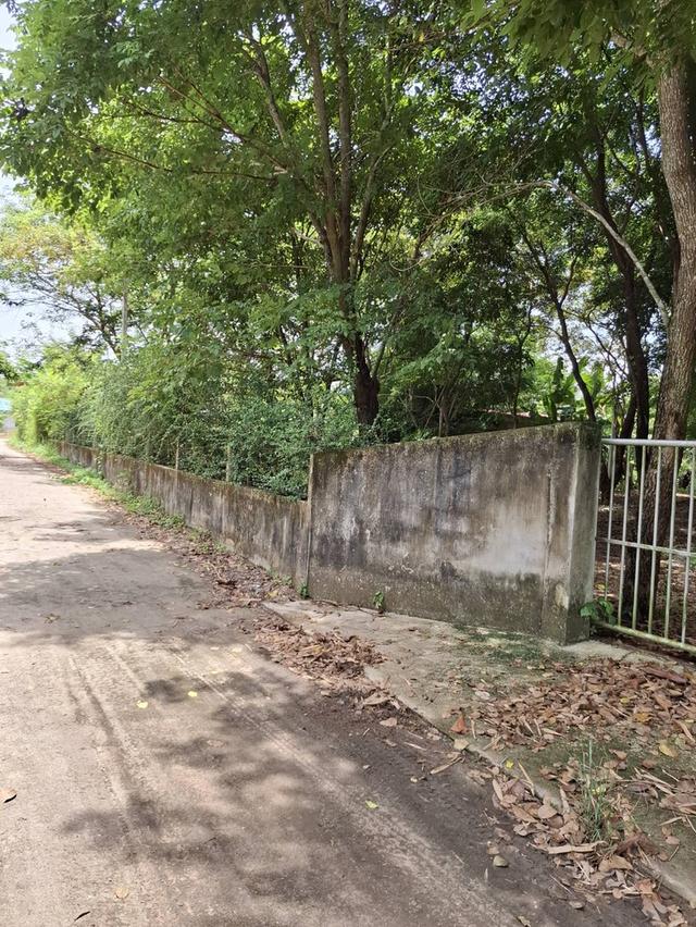 ขายที่ดินพร้อมบ้านพัก 6