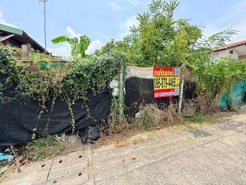 ขายด่วนที่ดินใกล้รถไฟฟ้า 120 ตรว ติดถนนคอนกรีต 2 ด้าน ซ.กาหลง 7,8 เมืองนนทบุรี 5