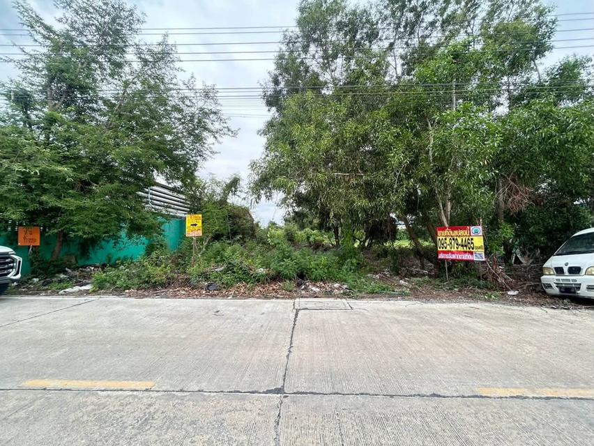 ขายที่ดิน 100 ตรว ติดถนนคอนกรีต ถมแล้ว ซ.หมู่บ้านจิตรัตนา บางบัวทอง นนทบุรี 1
