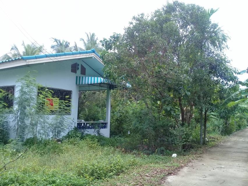 บ้านและที่ดิน ตำบลปากพนังฝั่งตะวันตก 3