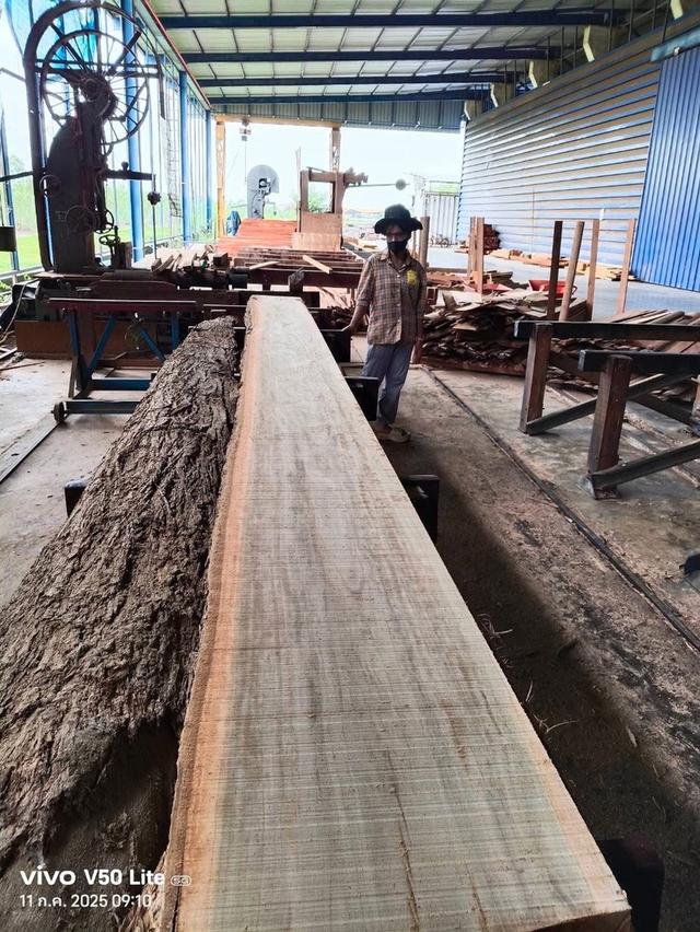 ไม้สักแปรรูป  ไม้ยางแปรรูป  ไม้เต็งแปรรูป