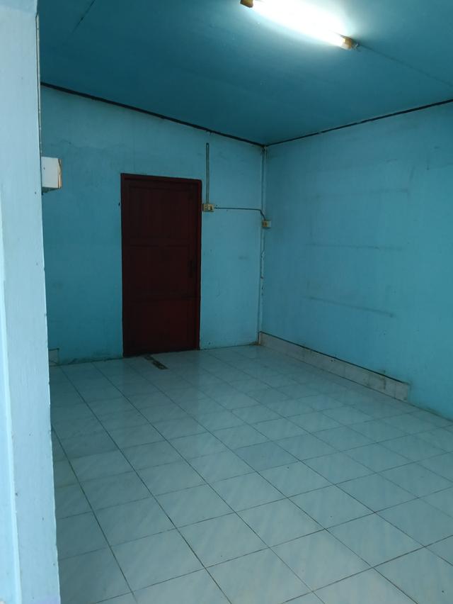 ขายด่วนบ้าน2หลังที่ดิน2ไร่เขตชุมชนติดถนนลาดยางน้ำไม่ท่วมไม่มีประวัติอยู่ไกล้ม. ราชมงคลสุวรรณภูมิสามชุกจ. สุพรรณขาย2. 55ล. สนใจ0894109810เจ้าของโดยตรง 11