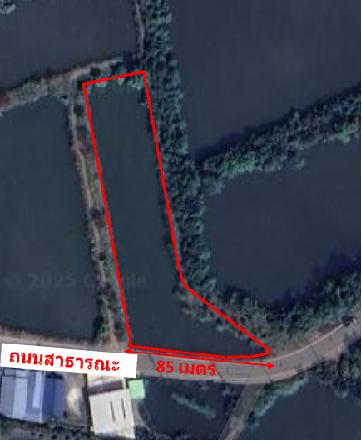 ที่ดิน 1