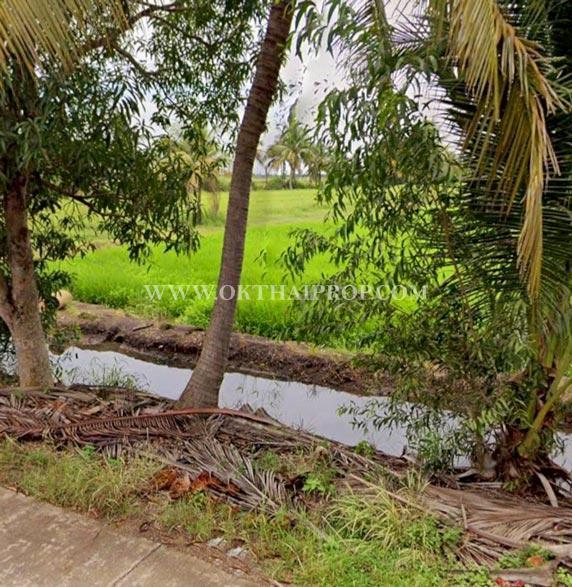 ที่ดินถมแล้ว คลอง 23 ใกล้อบต.ศีรษะกระบือ ถ.รังสิต-นครนายก องครักษ์ นครนายก 5