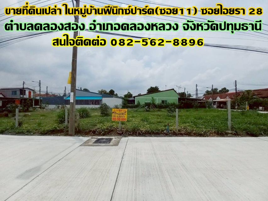 ขายที่ดินเปล่า ในหมู่บ้านฟีนิกซ์ปาร์ค(ซอย11) ซอยไอยรา 28 คลองสอง คลองหลวง ปทุมธานี 1